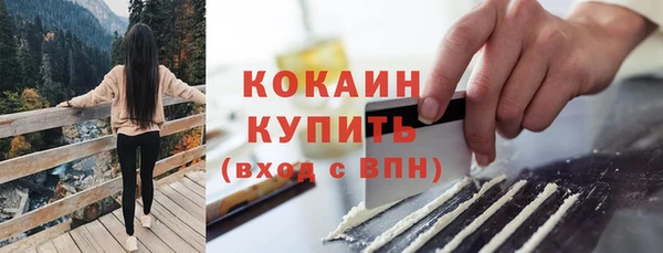 МДПВ Няндома