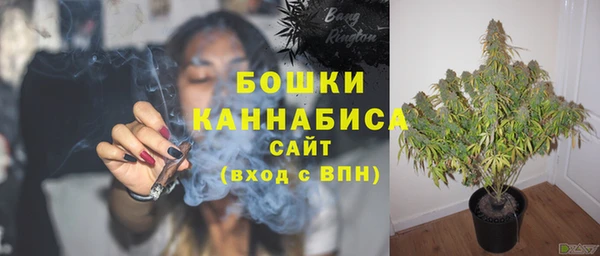 бошки Осташков