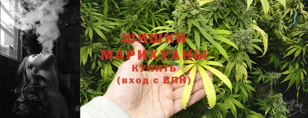 винт Нягань