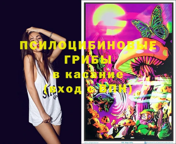 бошки Осташков